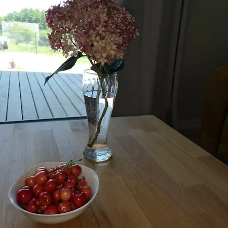 Grzybowo Prázdninový dům