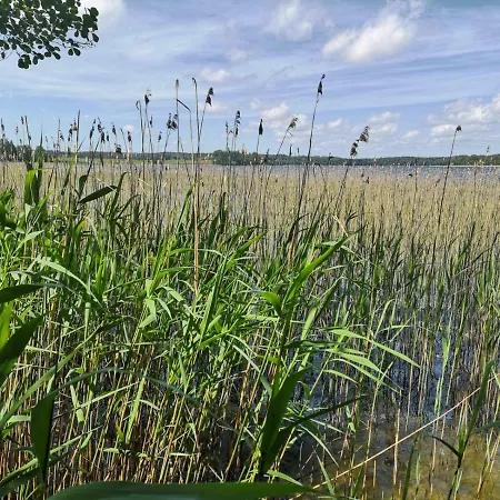 Grzybowo Grzybowo (Kolobrzeg)