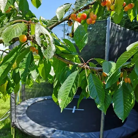 Grzybowo Prázdninový dům Grzybowo (Kolobrzeg)