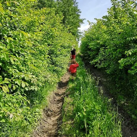 Grzybowo Prázdninový dům *